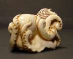 Octopus_6