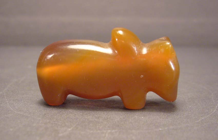 zebu-1
