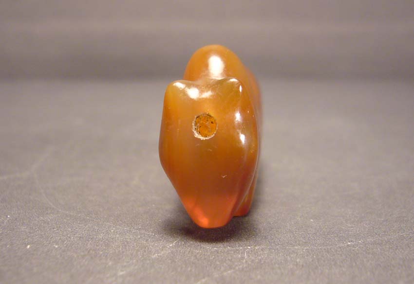 zebu-2