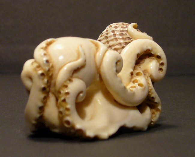 Octopus_6