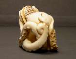 Octopus_5