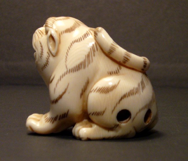 Tiger_3